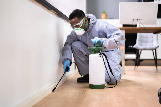 Emergency Pest Control Services in Yorba Linda, CA